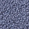MIYUKI Delica Beads X-SEED-J020-DB0799-3