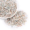 Baking Paint Glass Seed Beads SEED-C003-01I-1