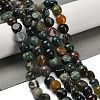 Natural Indian Agate Beads Strands G-P497-01E-89-2