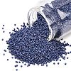 MIYUKI Delica Beads SEED-X0054-DB2319-1