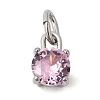 Birthdaystone Theme October 304 Stainless Steel Charms STAS-B128-60P-10-1