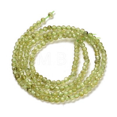 Natural Peridot Beads Strands G-B107-A06-01-1