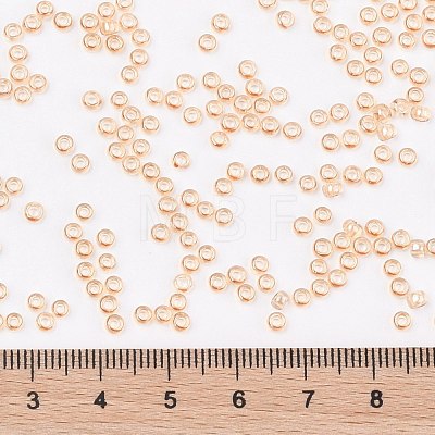 TOHO Round Seed Beads X-SEED-TR08-0629-1