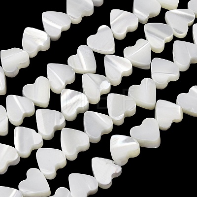 Natural Trochid Shell/Trochus Shell Beads Strands SH-CBA2978-10-1