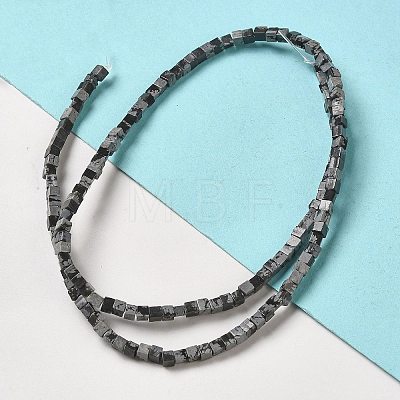 Natural Snowflake Obsidian Beads Strands G-B064-A34-1