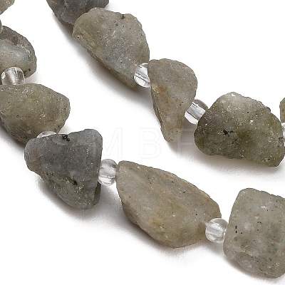 Natural Labradorite Beads Strands GG-CBA0B77-A20-03-1