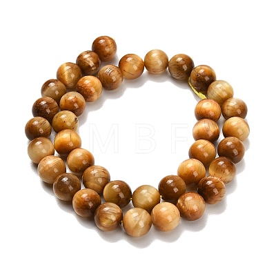 Natural Tiger Eye Beads Strands G-B133-A02-10mm-03-1