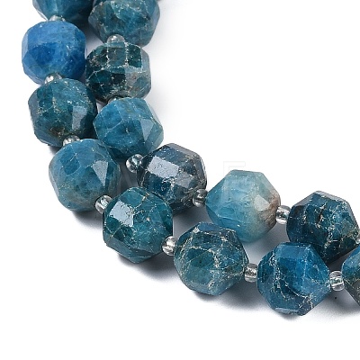 Natural Apatite Beads Strands G-O201B-146H-1