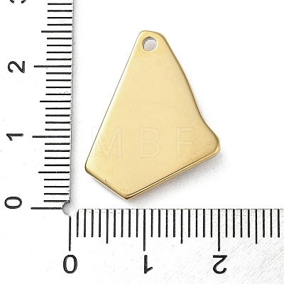 Vacuum Plating 316 Stainless Steel Pendants STAS-C090-07G-03-1