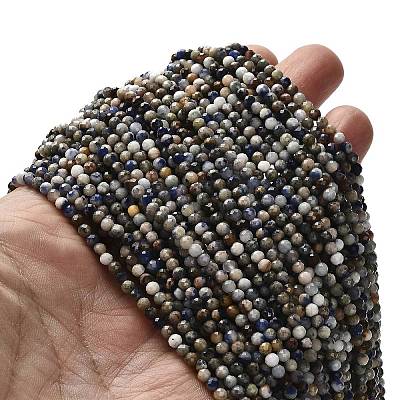 Natural Sodalite Beads Strands G-RM2025-A19-3mm-1