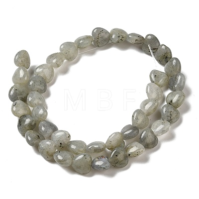 Natural Labradorite Beads Strands G-B022-16B-1