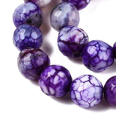 Natural Crackle Agate Beads Strands G-T119-01A-05-1