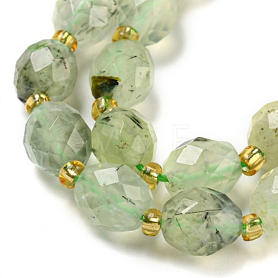 Natural Prehnite Beads Strands G-N342-58-1