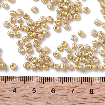 8/0 Glass Seed Beads X1-SEED-A017-3mm-1107-1