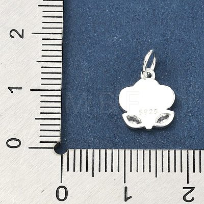 925 Sterling Silver Pave Clear Cubic Zirconia Smiling Face Cloud Flower Charms STER-A051-03S-1