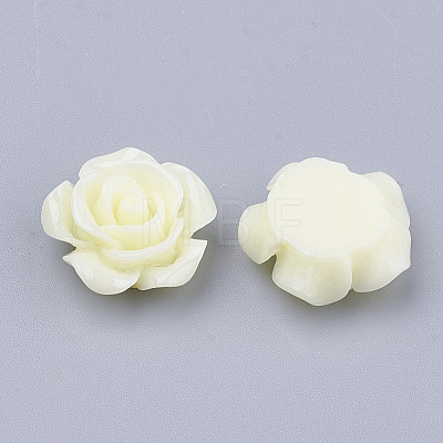 Resin Cabochons CRES-B2026-A17-1
