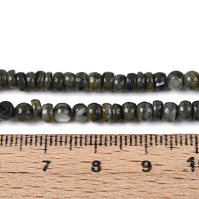 Natural Freshwater Shell Dyed Beads Strands SHEL-T020-29A-1