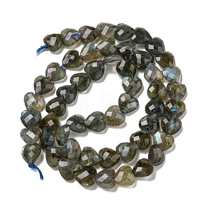 Natural Labradorite Beads Strands G-P544-E01-01-1