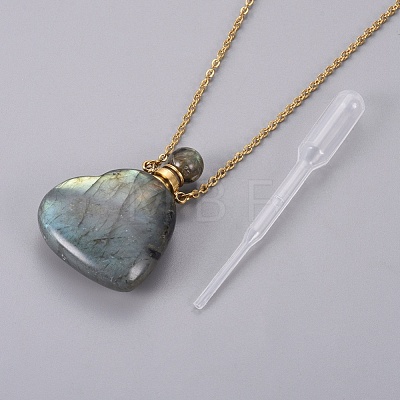 Natural Labradorite Openable Perfume Bottle Pendant Necklaces G-K295-A03-G-1