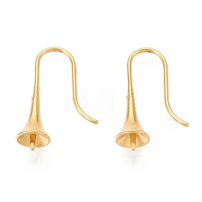 Ion Plating(IP) 304 Stainless Steel Earring Hooks X-STAS-N108-30G-1