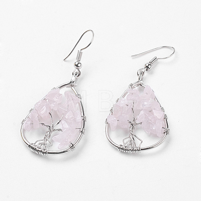 Natural Gemstone Dangle Earrings EJEW-P136-A-1