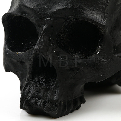 Halloween Resin Skull Figurines PW-WG47008-01-1