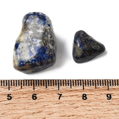 Natural Lapis Lazuli Beads G-O029-08V-1