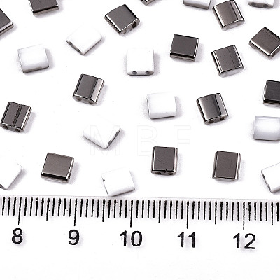 2-Hole Glass Seed Beads SEED-S031-L-ST41-H-1