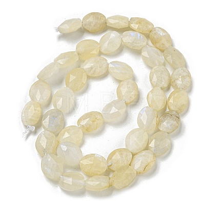 Natural Rainbow Moonstone Beads Strands G-P544-D03-01-1