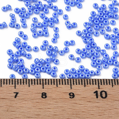 11/0 Czech Opaque Glass Seed Beads SEED-N004-003B-26-1
