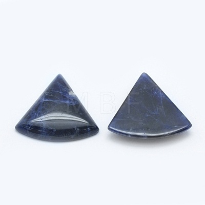 Natural Sodalite Cabochons G-E491-H01-1