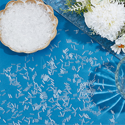 3000Pcs Glass Bugle Beads SEED-PA0001-87-1