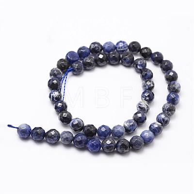 Natural Sodalite Beads Strands G-D840-19-10mm-1