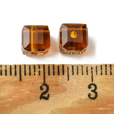 Glass Imitation Austrian Crystal Beads GLAA-D023-01-1