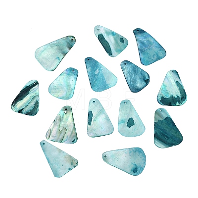 Dyed Natural Shell Pendants SHEL-C010-13E-1
