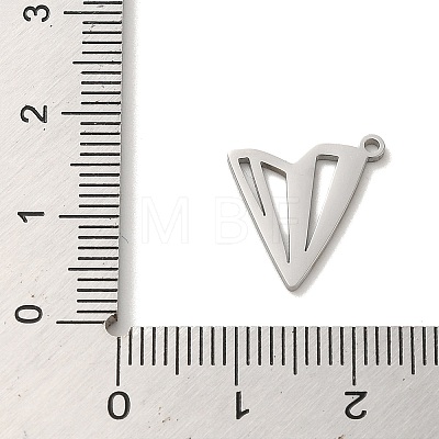304 Stainless Steel Charms STAS-O005-12P-1