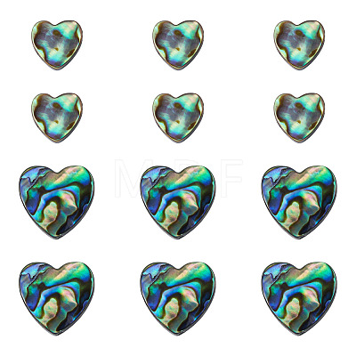 12Pcs 2 Styles Natural Abalone Shell/Paua Shell Beads SHEL-TA0001-41-1