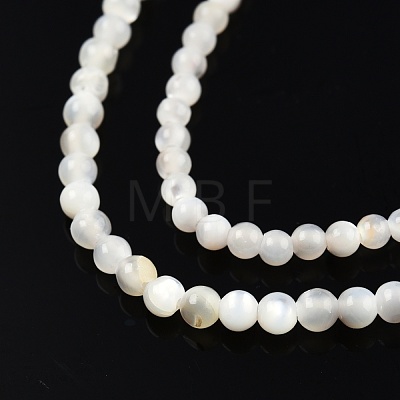 Natural White Shell Bead Strands SSHEL-N003-144A-01-1