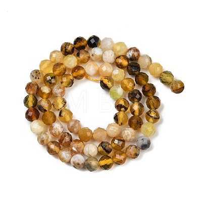Natural Yellow Opal Beads Strands G-RM2025-A35-6mm-1