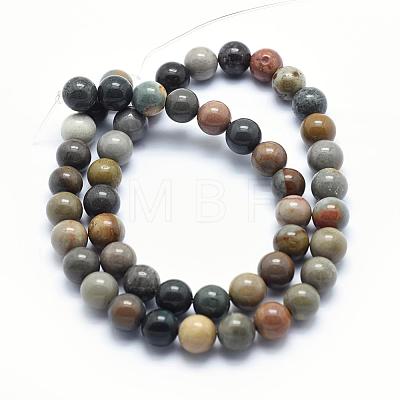 Natural Ocean Agate/Ocean Jasper Beads Strands G-G716-03-10mm-1