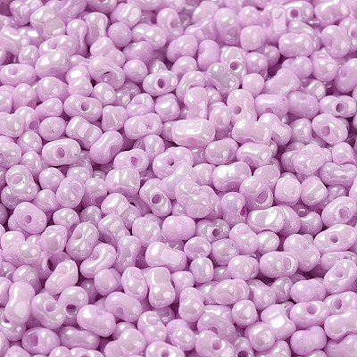 Glass Seed Beads SEED-K009-02A-06-1