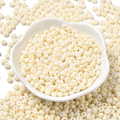 Baking Paint Glass Seed Beads SEED-B001-02A-06-1