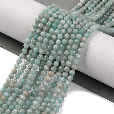 Natural Amazonite Beads Strands G-A235-A04-01-1