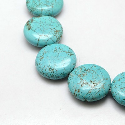 Natural Magnesite Beads Strands TURQ-L006-06-1