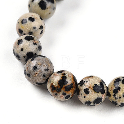 Natural Zebra Jasper Beads Stretch Bracelets BJEW-T022-04D-1