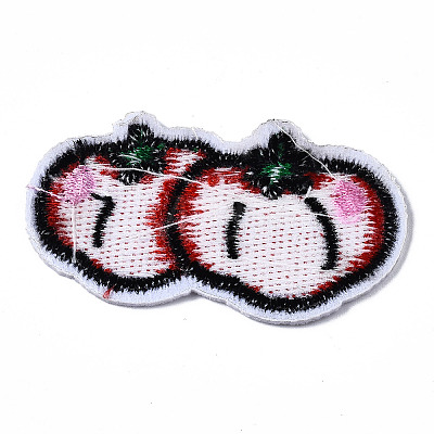 Computerized Embroidery Cloth Iron On/Sew On Patches AJEW-T005-06-1