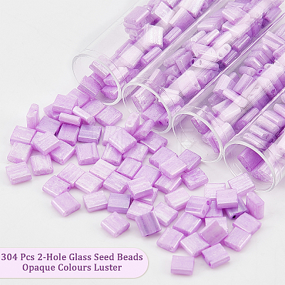  304Pcs 2-Hole Glass Seed Beads SEED-NB0001-70-1