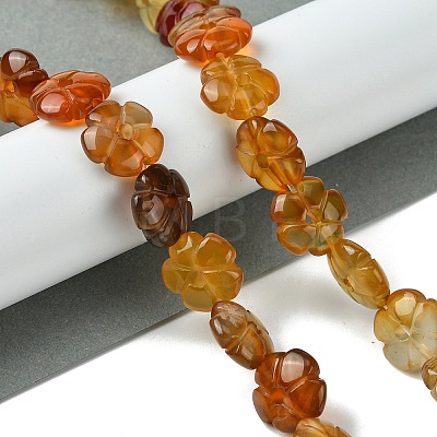 Natural Red Agate Beads Strands G-H023-B21-01-1