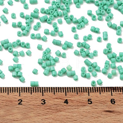 Baking Paint Glass Seed Beads X-SEED-S042-05B-60-1