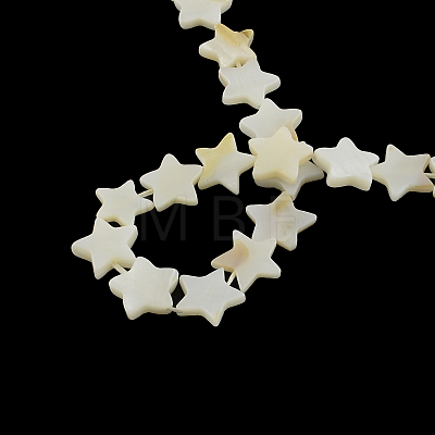 Star Natural Trochid Shell/Trochus Shell Beads Strands SSHEL-F290-19-1